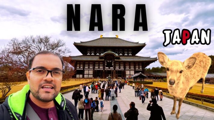 NARA JAPAN Travel Guide Deer Park